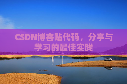 CSDN博客贴代码，分享与学习的最佳实践